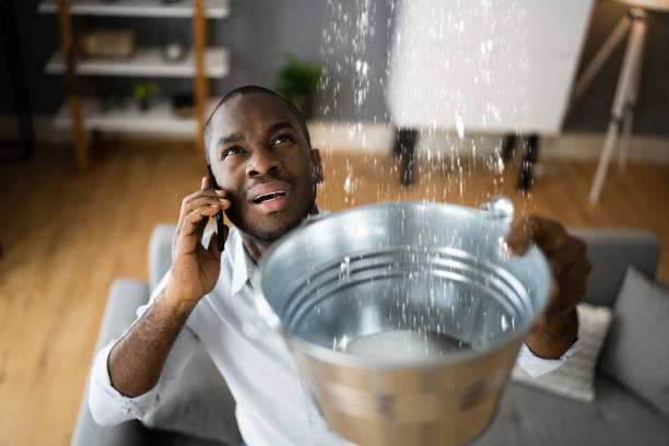 Best Carpet water damage restoration  in Winsted, MN