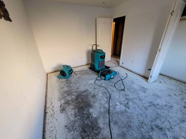 Best Water damage restoration near me  in Winsted, MN