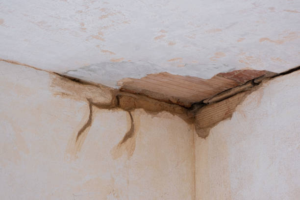 Best Flood restoration services  in Winsted, MN