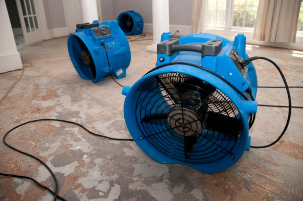 Best Commercial water damage restoration  in Winsted, MN