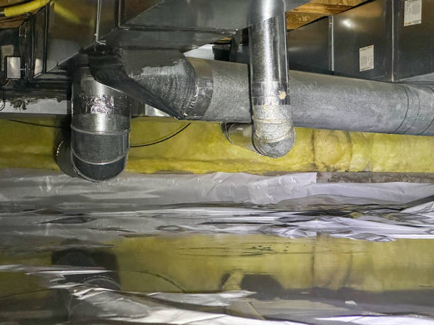 Best Local water damage restoration  in Winsted, MN