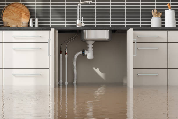 Best Flood restoration services  in Winsted, MN