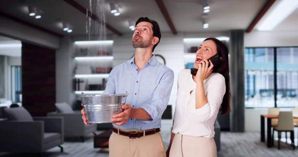 Best Water damage restoration experts  in Winsted, MN